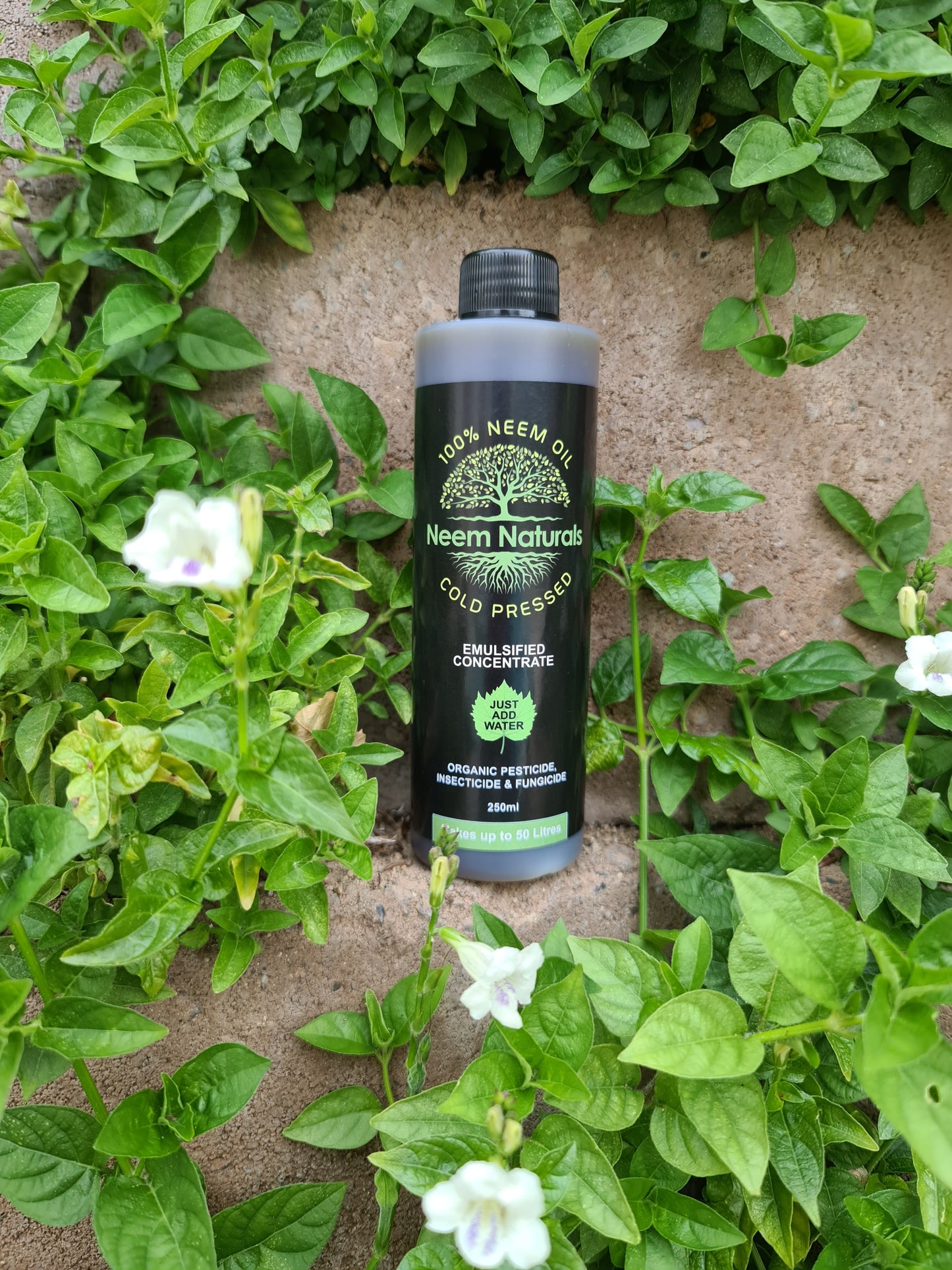 Neem Naturals Emulsified Cold Pressed Neem Oil Concentrate 250ml (Makes upto 50 L)